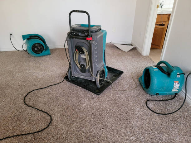 Fire Damage Restoration in Hollywood, FL