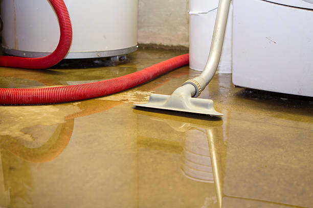 Best Fire Damage Restoration  in Hollywood, FL