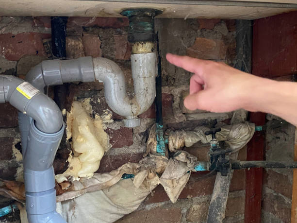 Carpet water damage restoration in Hollywood, FL