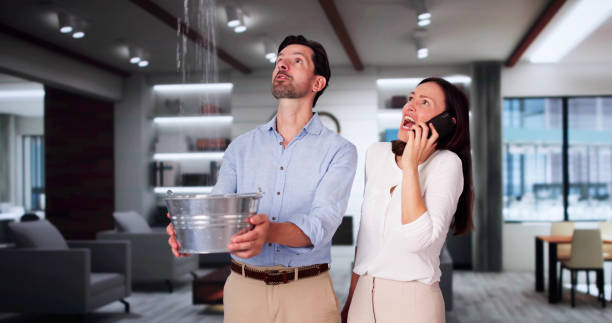 Best Mold removal after water damage  in Hollywood, FL
